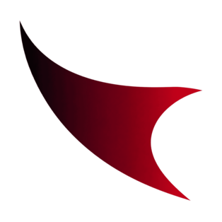 reitzenstein-consulting.com